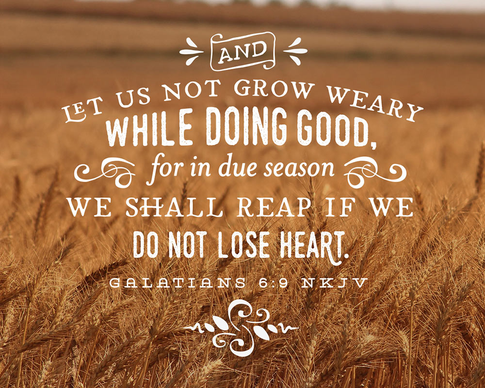 Bible giving scriptures for tithes and offering