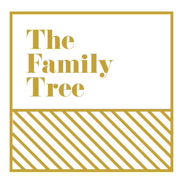 Matthew traced Jesus' lineage, and you can expand on this family history.