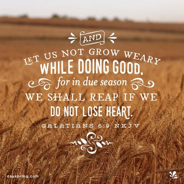 Galatians 6:9 verses about leadership 